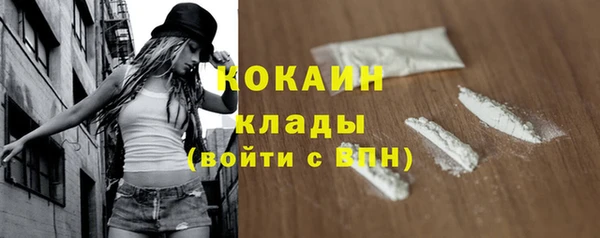 шишки Осинники