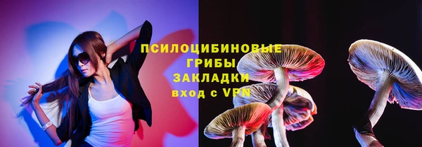 дживик Няндома
