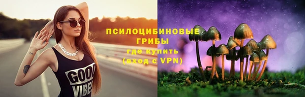 шишки Осинники