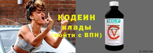 шишки Осинники