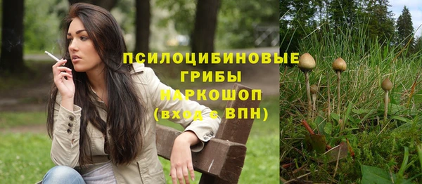 шишки Осинники
