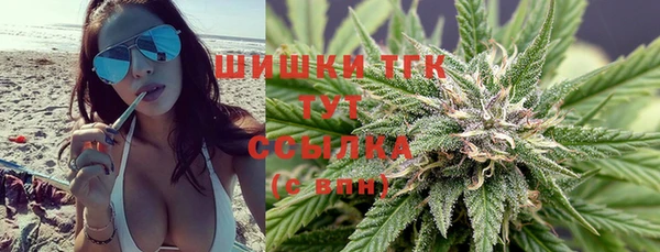 шишки Осинники
