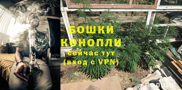 шишки Осинники