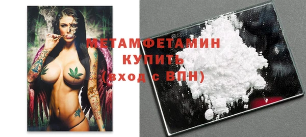 шишки Осинники