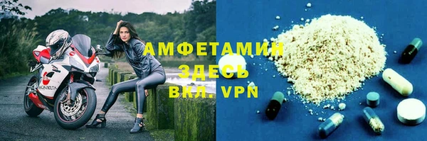 шишки Осинники