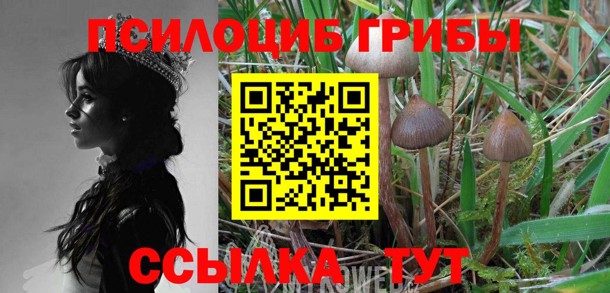 ЭКСТАЗИ  COCAIN  Как найти наркотики?  A PVP СК   Асино  Гашиш  Меф МЯУ МЯУ   Каннабис 