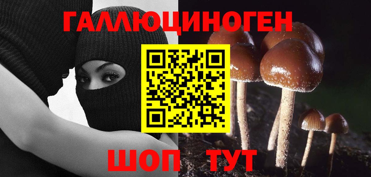 Галлюциногенные грибы MAGIC MUSHROOMS Асино