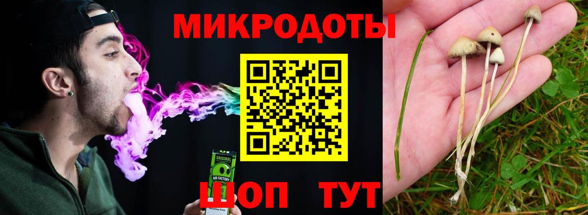 Галлюциногенные грибы прущие грибы Асино