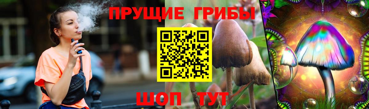 Асино  Псилоцибиновые грибы GOLDEN TEACHER  Вход с VPN  Галлюциногенные грибы Magic Shrooms 
