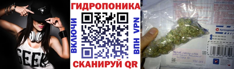 Марихуана гибрид  гидра зеркало  Асино 